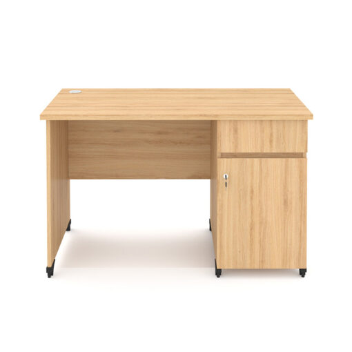 Bàn Làm Việc Liền Tủ 60x120cm CTP-1333